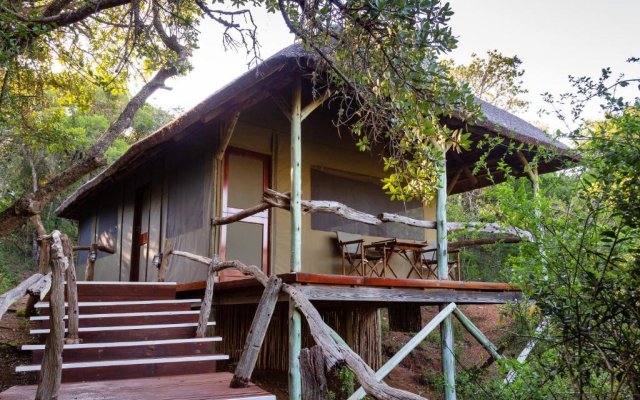 Lalibela Game Reserve Tree Tops Safari Lodge