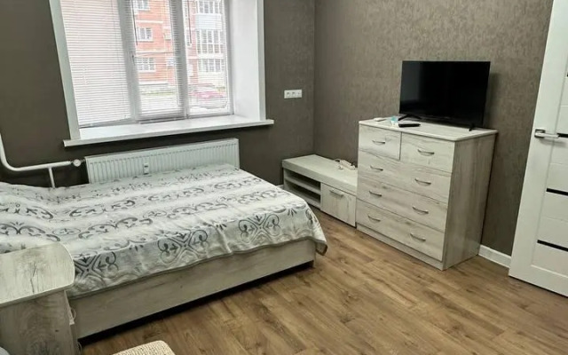 Апартаменты на улице 65-летия Победы 1/15