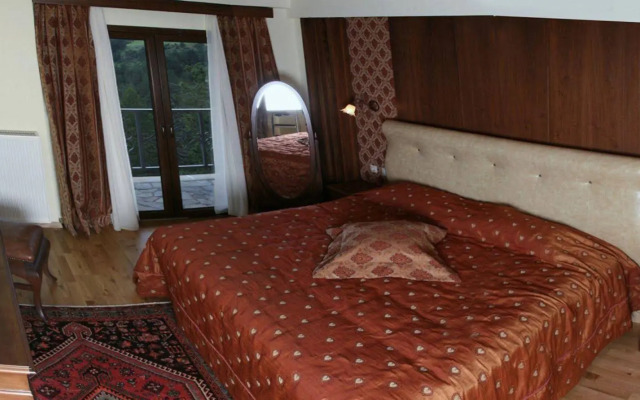 Vasilitsa Spa Resort