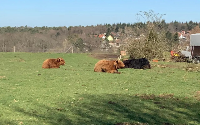 Hen Coop in Complete House Mit Optionaler Sauna