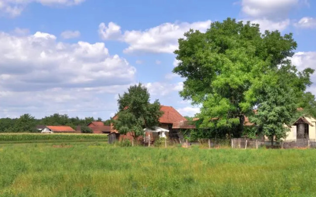 Country house Repaš 88