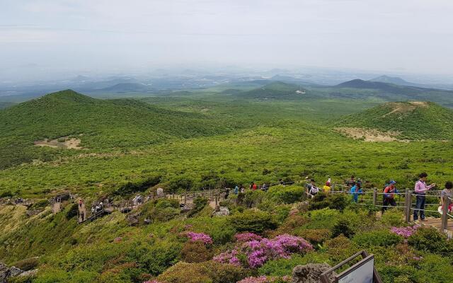 Jeju Mimong
