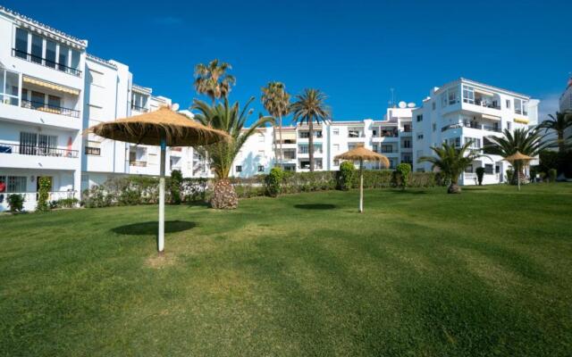 Palmeras 80 Menyber