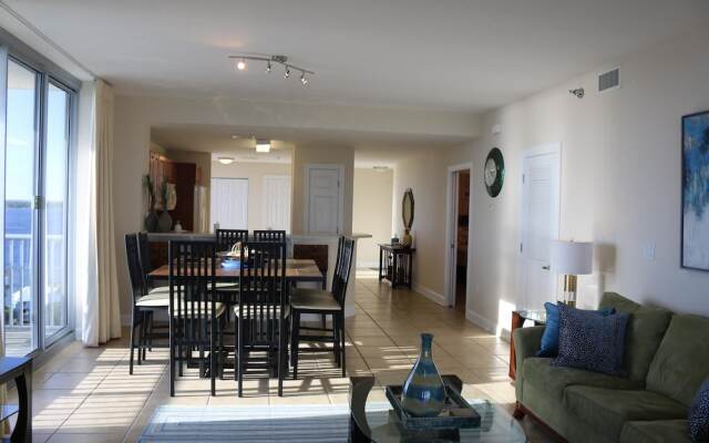 Emerald Dolphin by Surfside VR