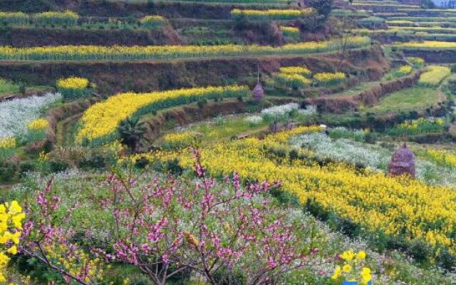 Jiangling Scenery Inn