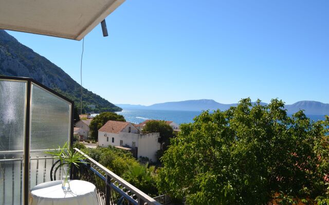 Apartment Jozo - 150 m from pebble beach: A1 Gradac, Riviera Makarska