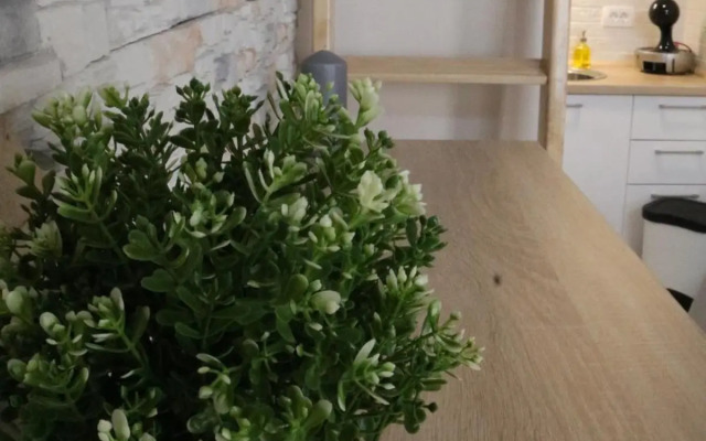 Studio apartman Chiara