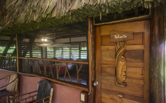 Cotton Tree Lodge