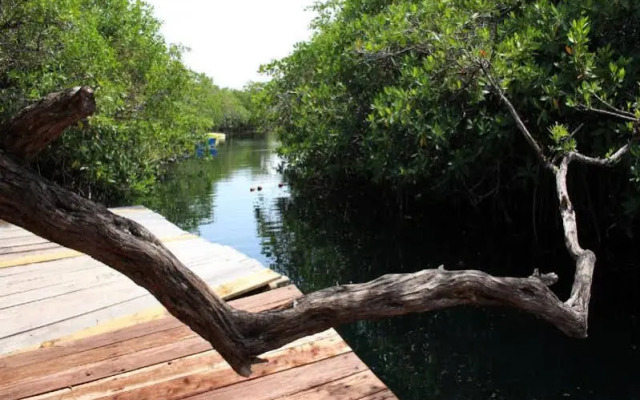 Maya Cabanas & Cenote Tulum