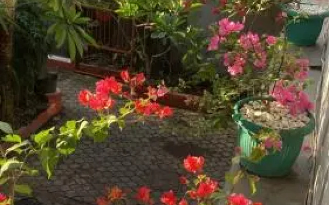 Rumahku Bali Executive