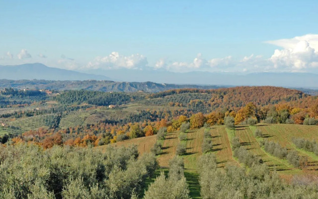 San Vivaldo, Nr. 3 (MOI133)