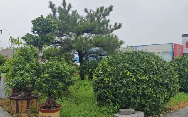 Zhongyue International Hotel – Outside – Binzhou
