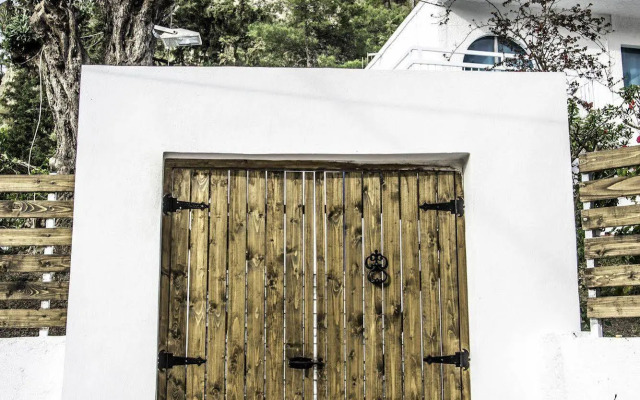 Отель Trees Art Boutique