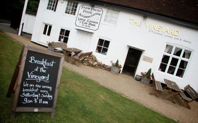 The Vineyard