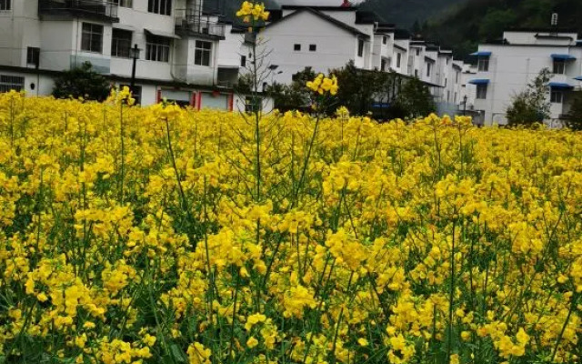 Yinniujiang Wuzhifeng Hotel