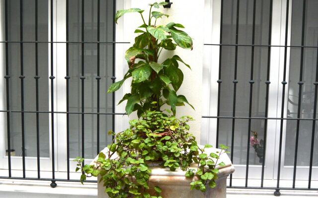 La Casa del Reloj Cadiz