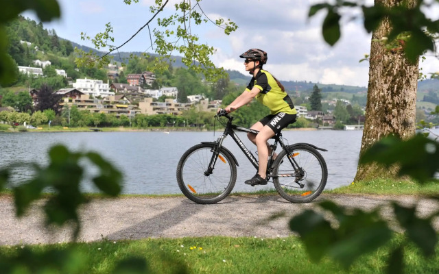 TOP SeminarHotel am Aegerisee Unteraegeri