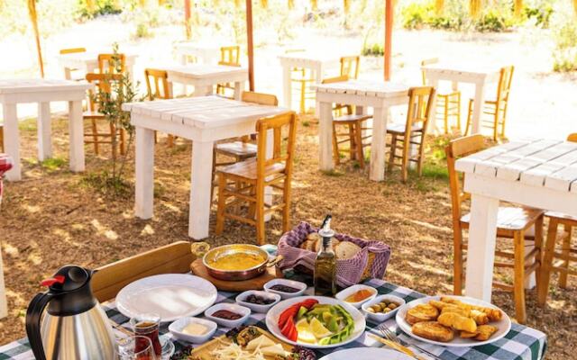 Ali Baba Ciftligi Alacati