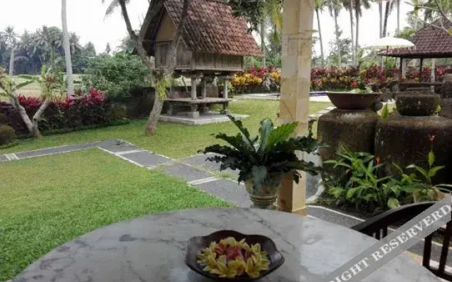 Shima House