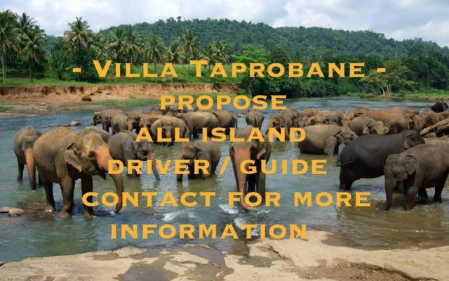 Villa Taprobane