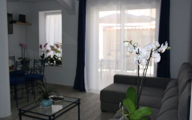 House Of Orchids
