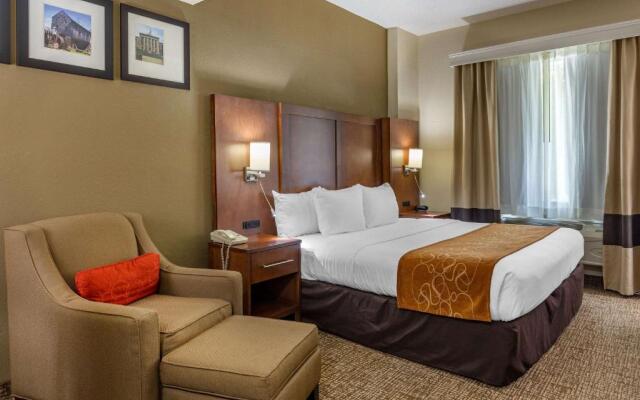 Comfort Suites Raleigh Walnut Creek