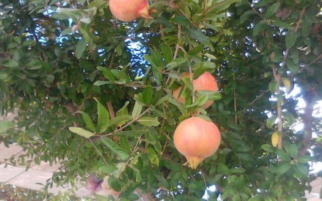 Beyaz Yelken