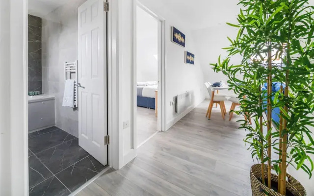 Modern Town Center Apartments Aldershot