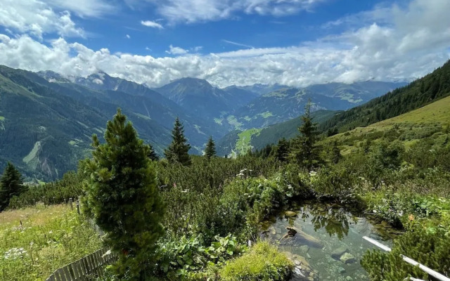 Alluring Apartment in Mayrhofen near Forest