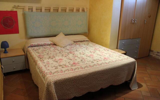 B&B Chorisia