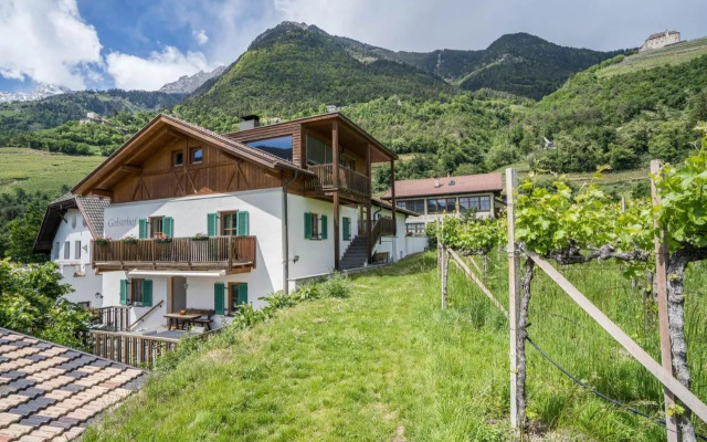 Ferienwohnung Golserhof