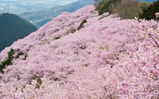 Paysage Moriguchi