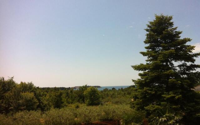 Solaria Apartments Porec