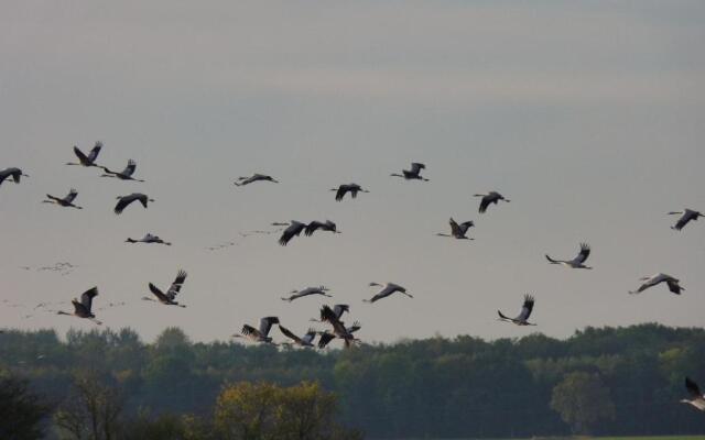 Haus Seeschwalbe, FW 5