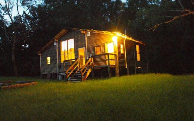 Tristania Tops Barrington