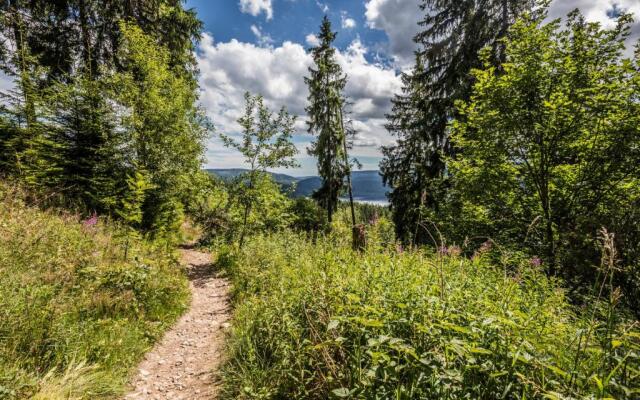 Fewo Blumbach Nr 4, Schluchsee, Feldberg
