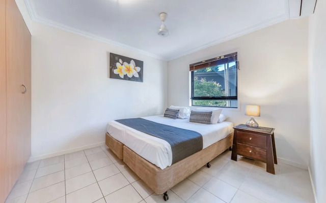 Oasis 26