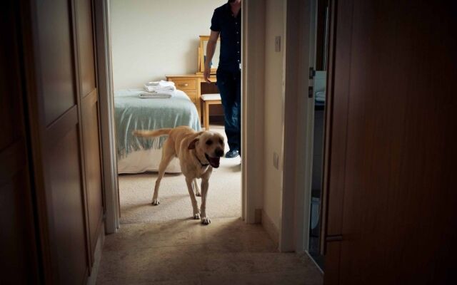 Soar Mill Cove Hotel