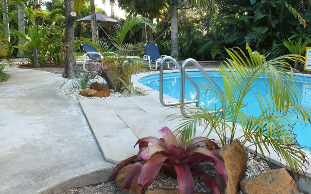 Rarotonga Daydreamer Escape