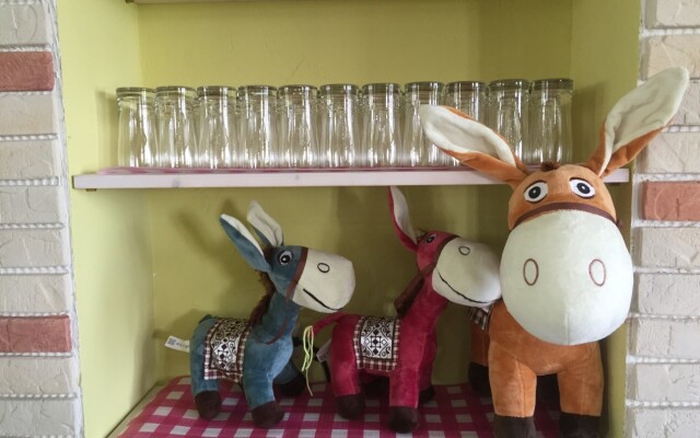 The Donkey Without Curly Lashes