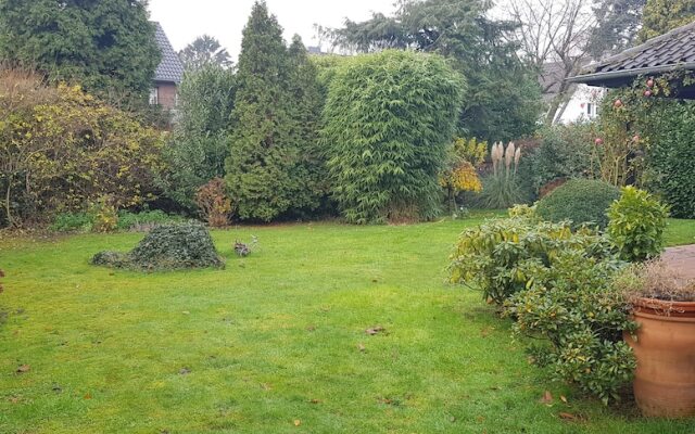 Tolstov-Hotels Beautiful Villa with Big Garden