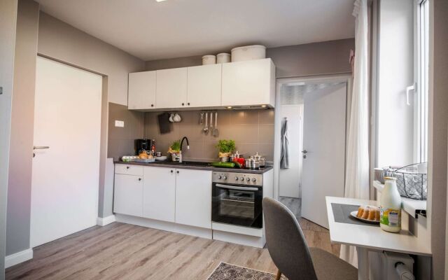 Apartment in Harz With Terrace and Fireplace