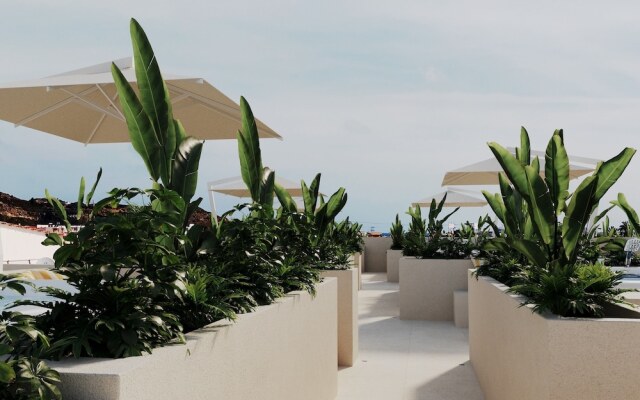 Patricia Suites