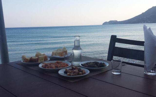 Filocsenia luxury apartment at tsoutsouras