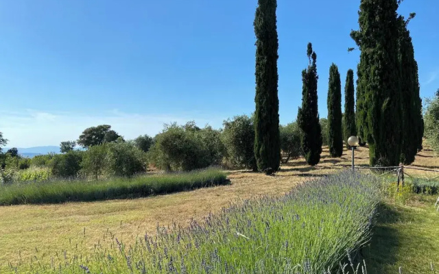 Tenuta Le Mandorlaie Agriturismo