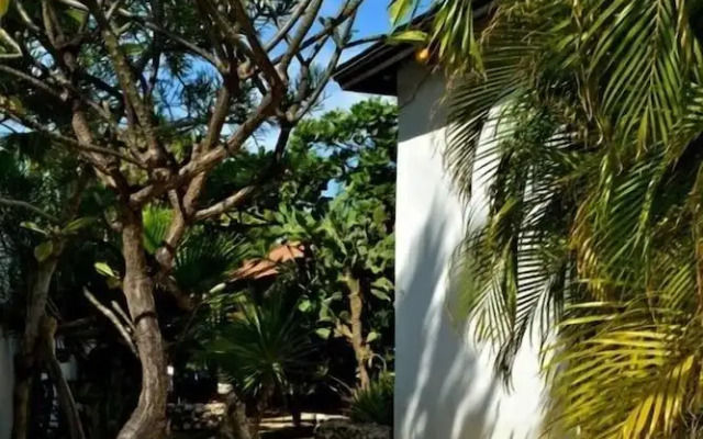 Parrot Villa
