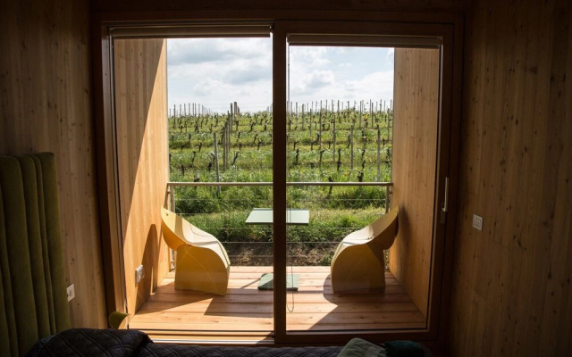 Eco Bio Agriturismo La Bella Vite - Camere Con Vigna