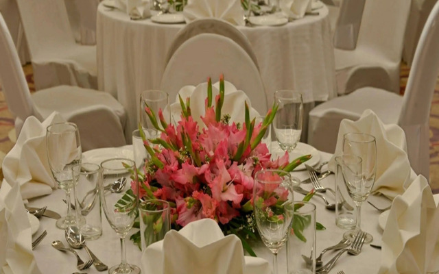 Golden Tulip