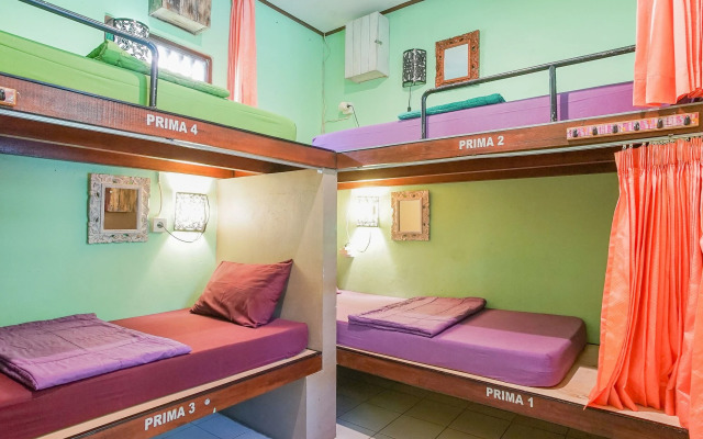 Padi-Padi Hostel & Bar
