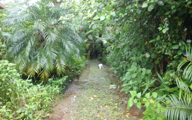 Yambarunomori